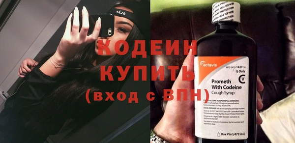 трава Гусиноозёрск