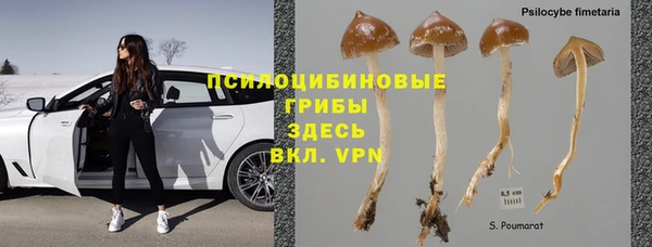 соль ск Горно-Алтайск