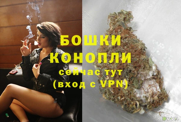 соль ск Горно-Алтайск