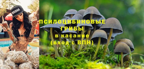 спиды Горнозаводск